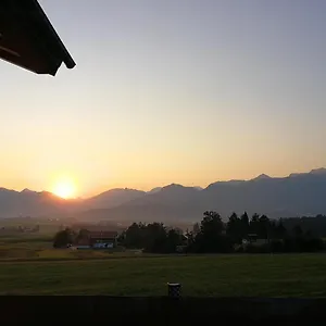 Greif Ofterschwang